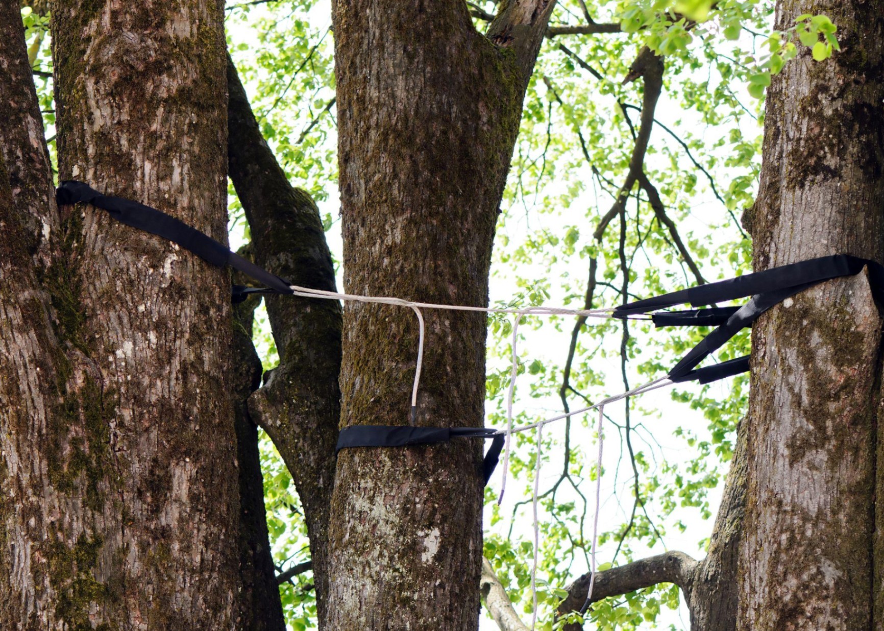 Cabling & Bracing